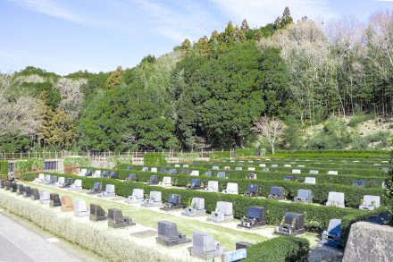 松戸市営白井聖地公園へ撮影取材に行ってきました