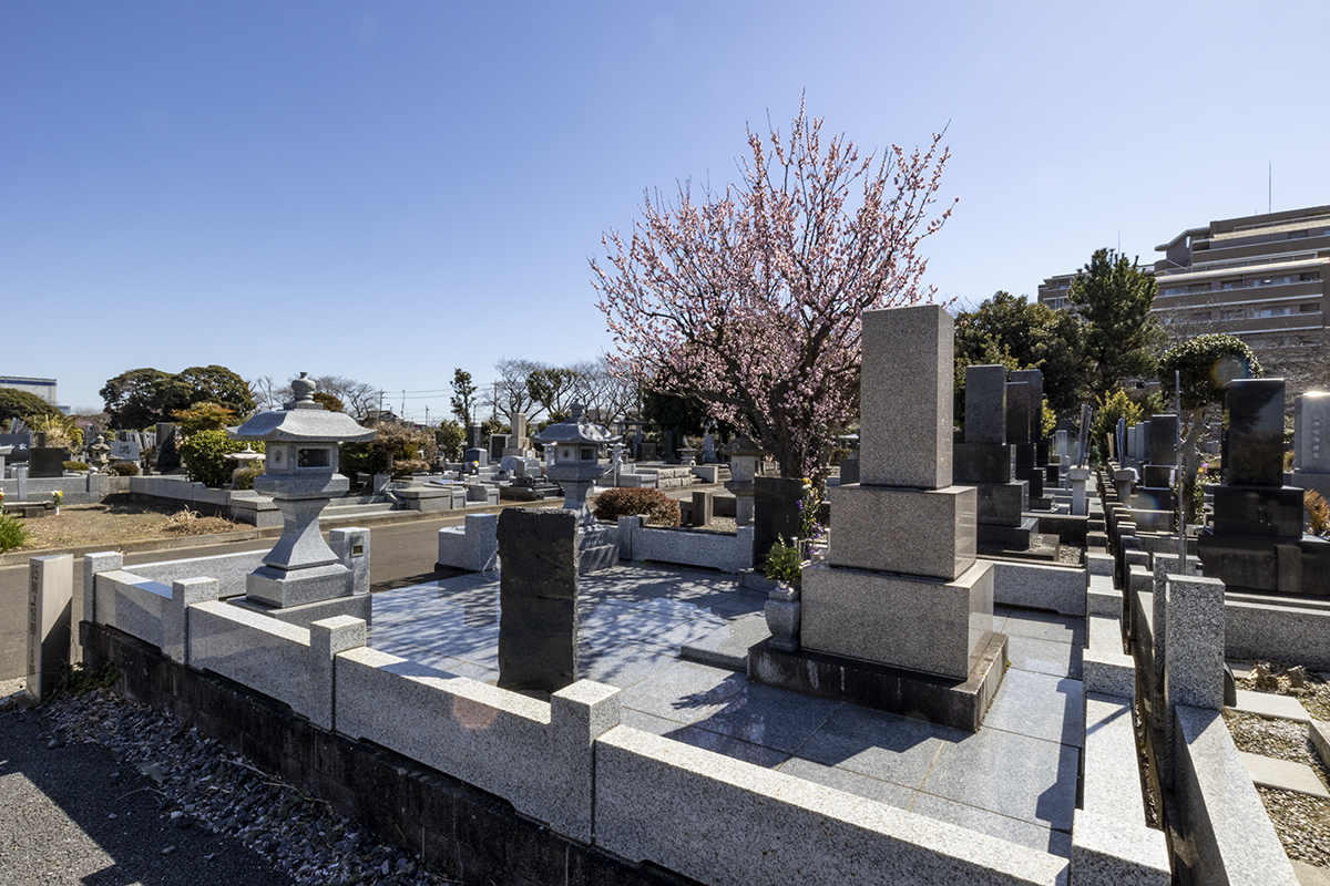 都立八柱霊園