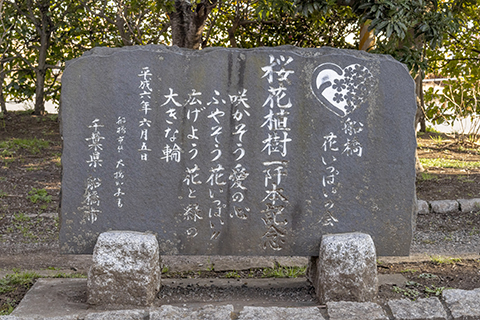 海老川ジョギングロード　桜花植樹一千本記念碑