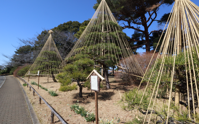 八柱霊園に行ってきました