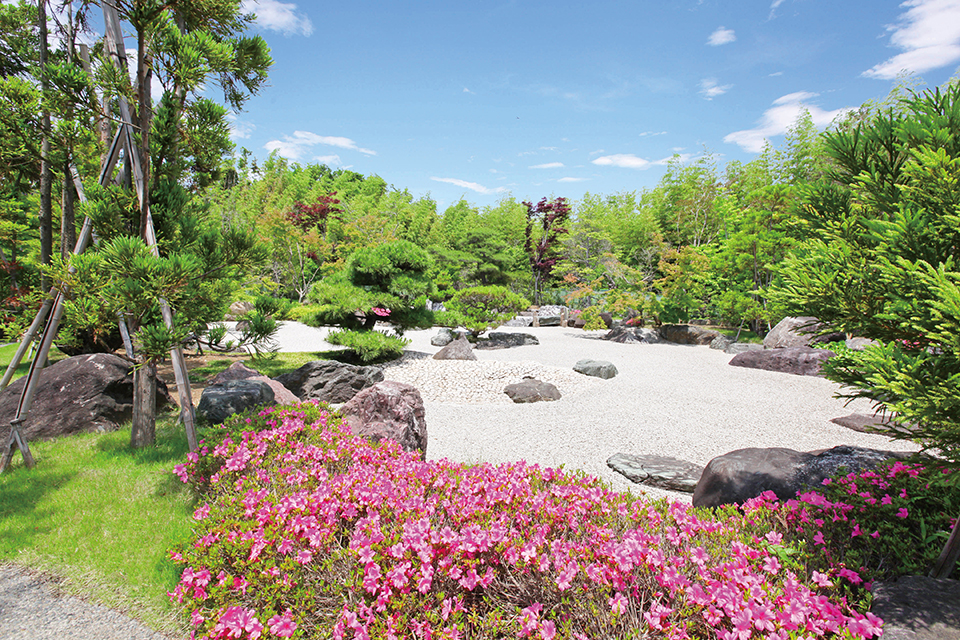 柏・松戸・流山の方注目! 流山市の櫻乃丘聖地霊園　新区画優先案内キャンペーン