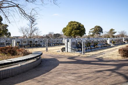 八柱霊園へ撮影取材へ行ってきました