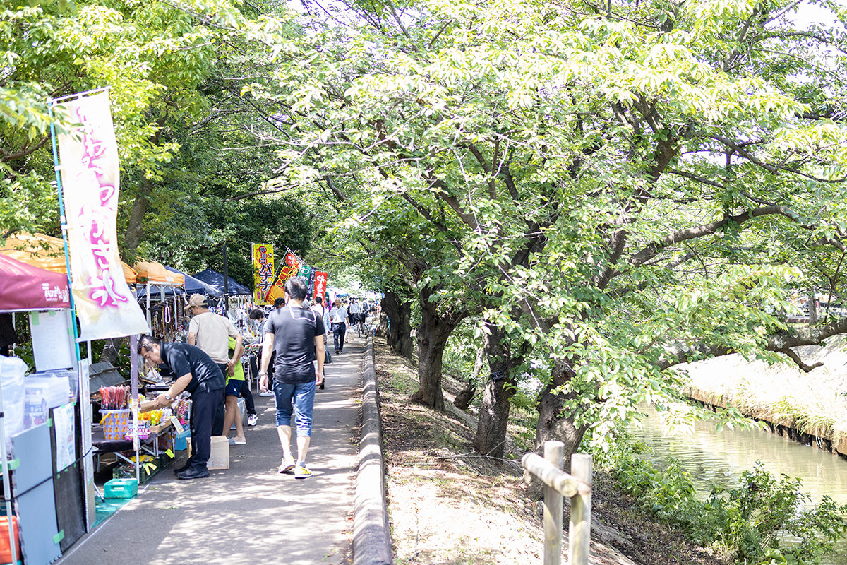 海老川親水市民祭りを取材してきました