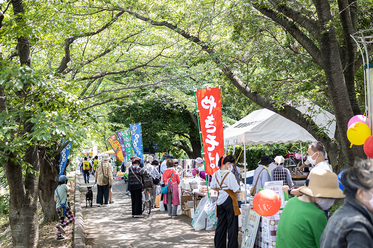 海老川親水市民祭りを取材してきました